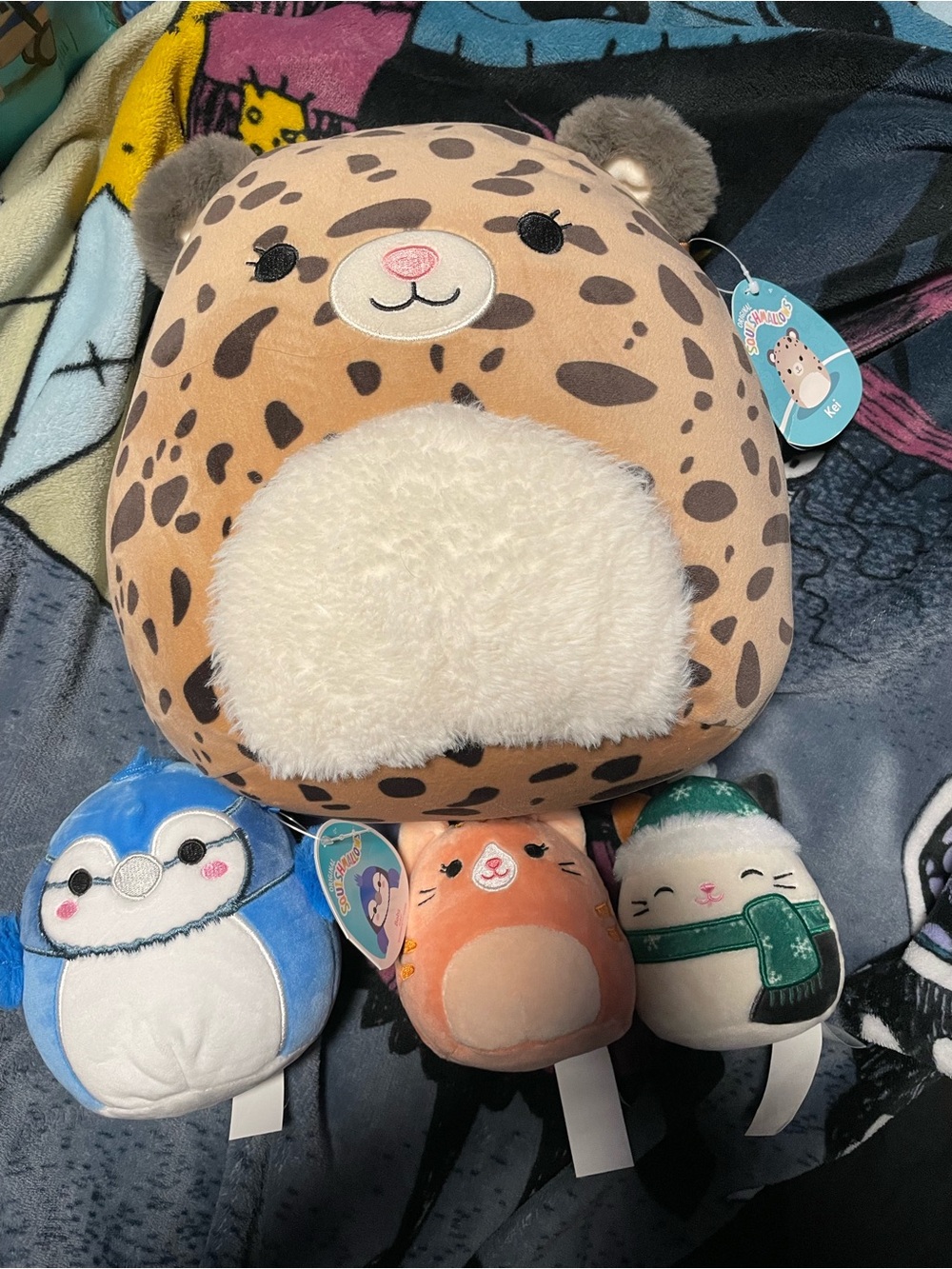 Squishmallows Cats and Bird Bundle NWT/NWOT